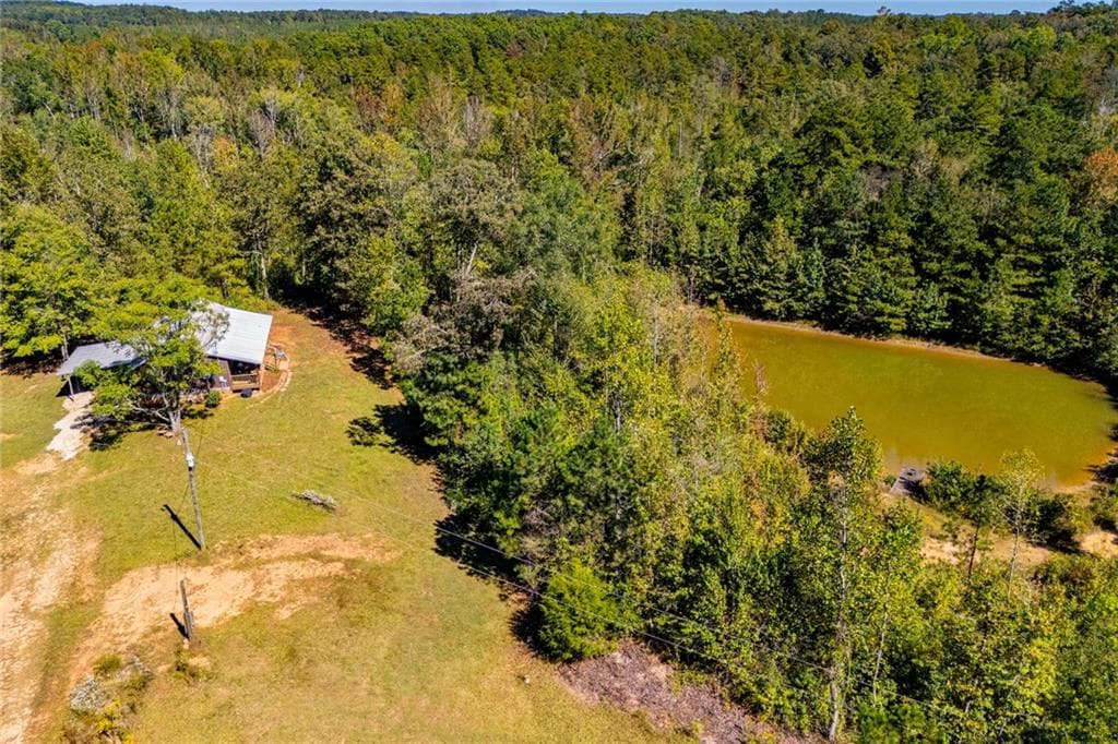 2 bedroom, 1 bathroom, 1,152 sq ft single family residence for sale at 1005 County Road 204, Heflin, AL 36264 — photo 4