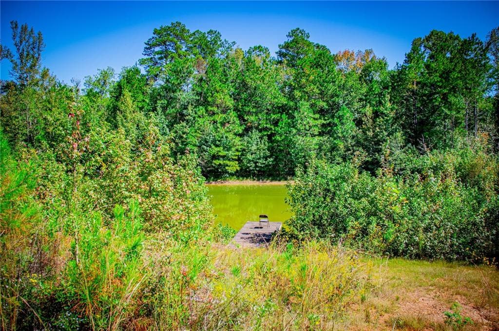 2 bedroom, 1 bathroom, 1,152 sq ft single family residence for sale at 1005 County Road 204, Heflin, AL 36264 — photo 9