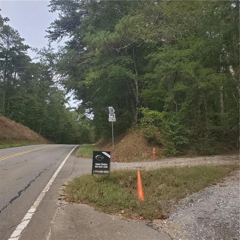 unimproved land for sale at 1933 Highway 136, Talking Rock, GA 30175 — photo 5