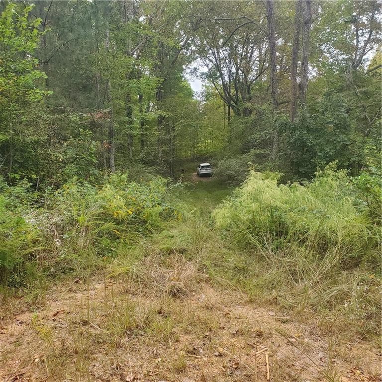 unimproved land for sale at 1933 Highway 136, Talking Rock, GA 30175 — photo 6