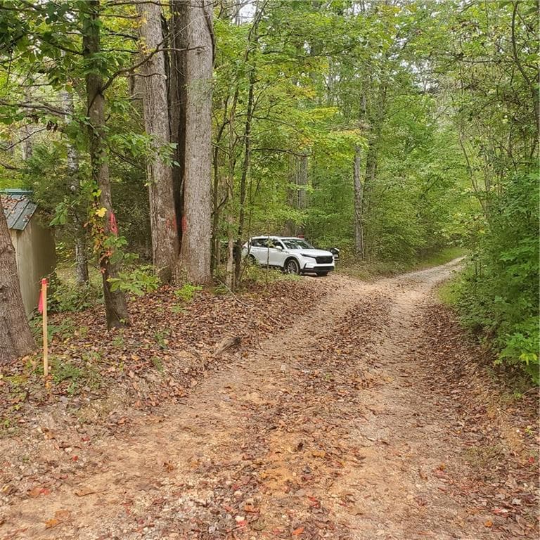 unimproved land for sale at 1933 Highway 136, Talking Rock, GA 30175 — photo 7