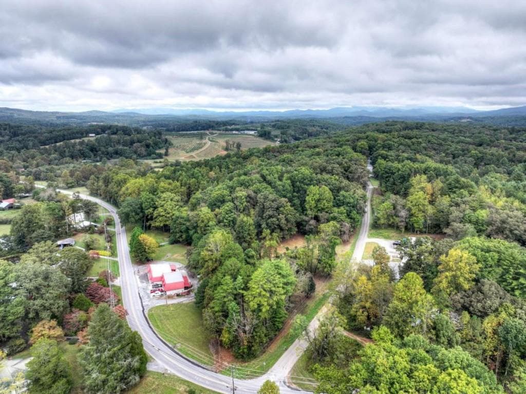 unimproved land for sale at TR 2 Davis Road, Blue Ridge, GA 30513 — photo 1 of 19