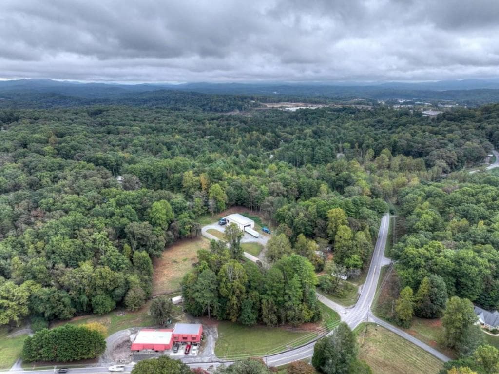 unimproved land for sale at TR 2 Davis Road, Blue Ridge, GA 30513 — photo 3