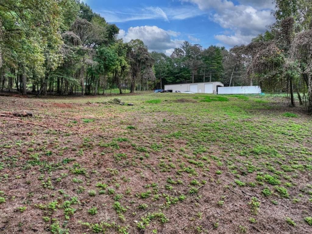 unimproved land for sale at TR 2 Davis Road, Blue Ridge, GA 30513 — photo 4