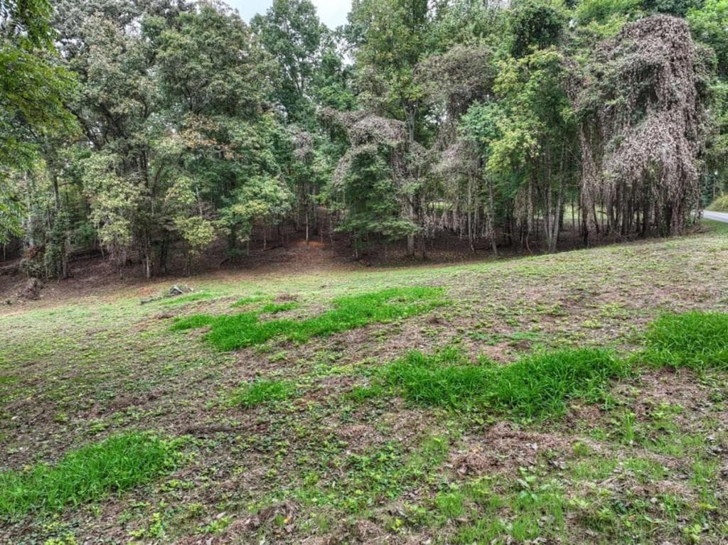 unimproved land for sale at TR 2 Davis Road, Blue Ridge, GA 30513 — photo 5