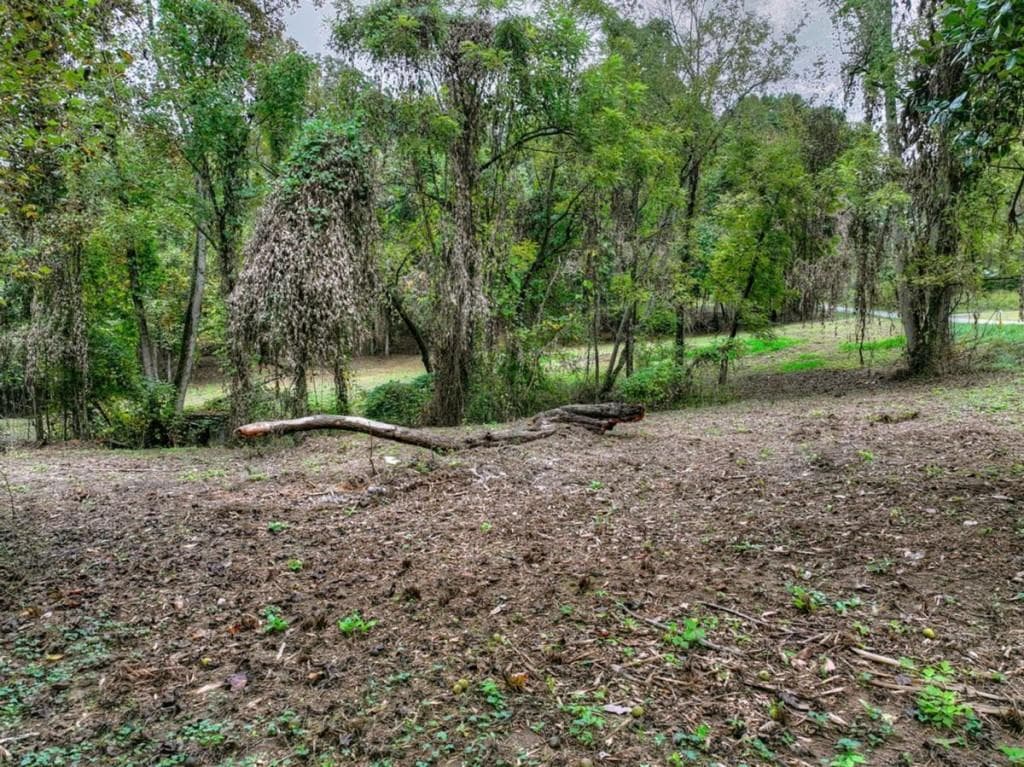 unimproved land for sale at TR 2 Davis Road, Blue Ridge, GA 30513 — photo 7