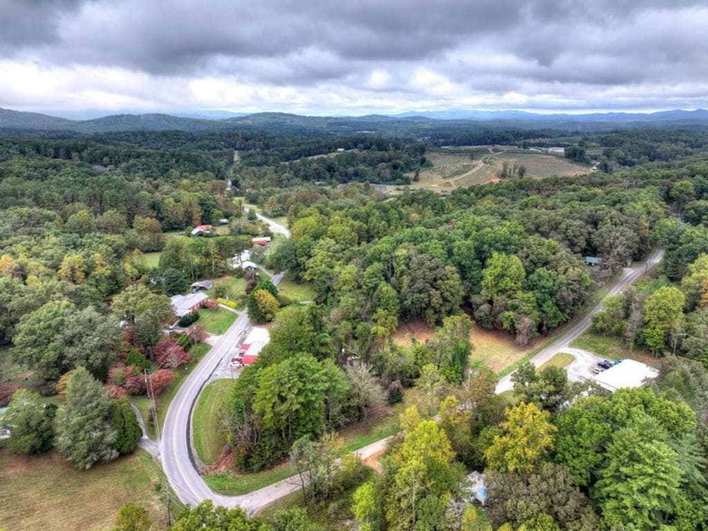 unimproved land for sale at TR 2 Davis Road, Blue Ridge, GA 30513 — photo 8
