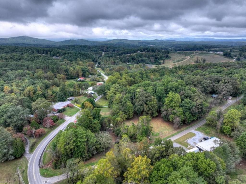 unimproved land for sale at TR 2 Davis Road, Blue Ridge, GA 30513 — photo 9