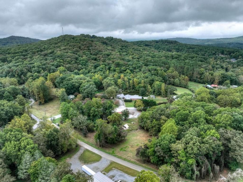 unimproved land for sale at TR 2 Davis Road, Blue Ridge, GA 30513 — photo 10