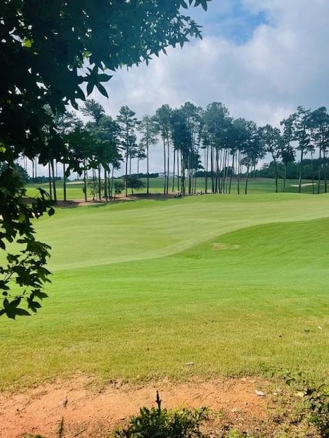 single family residence for sale at 124 Hawks Court, Ball Ground, GA 30107 — photo 5