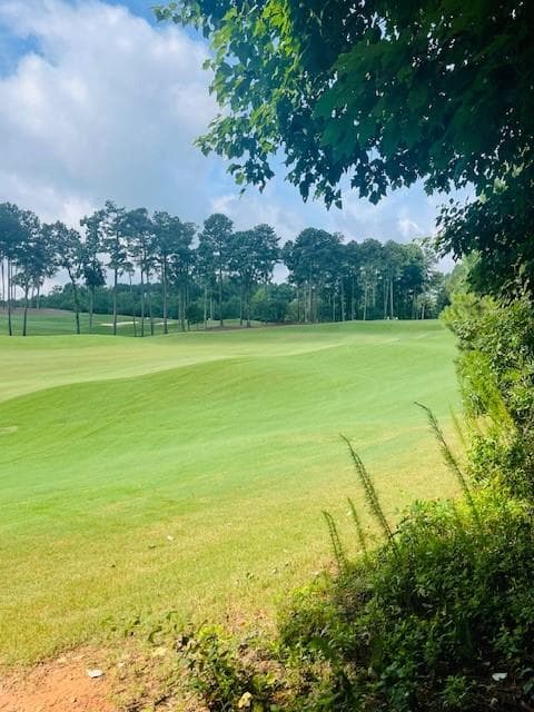 single family residence for sale at 124 Hawks Court, Ball Ground, GA 30107 — photo 6