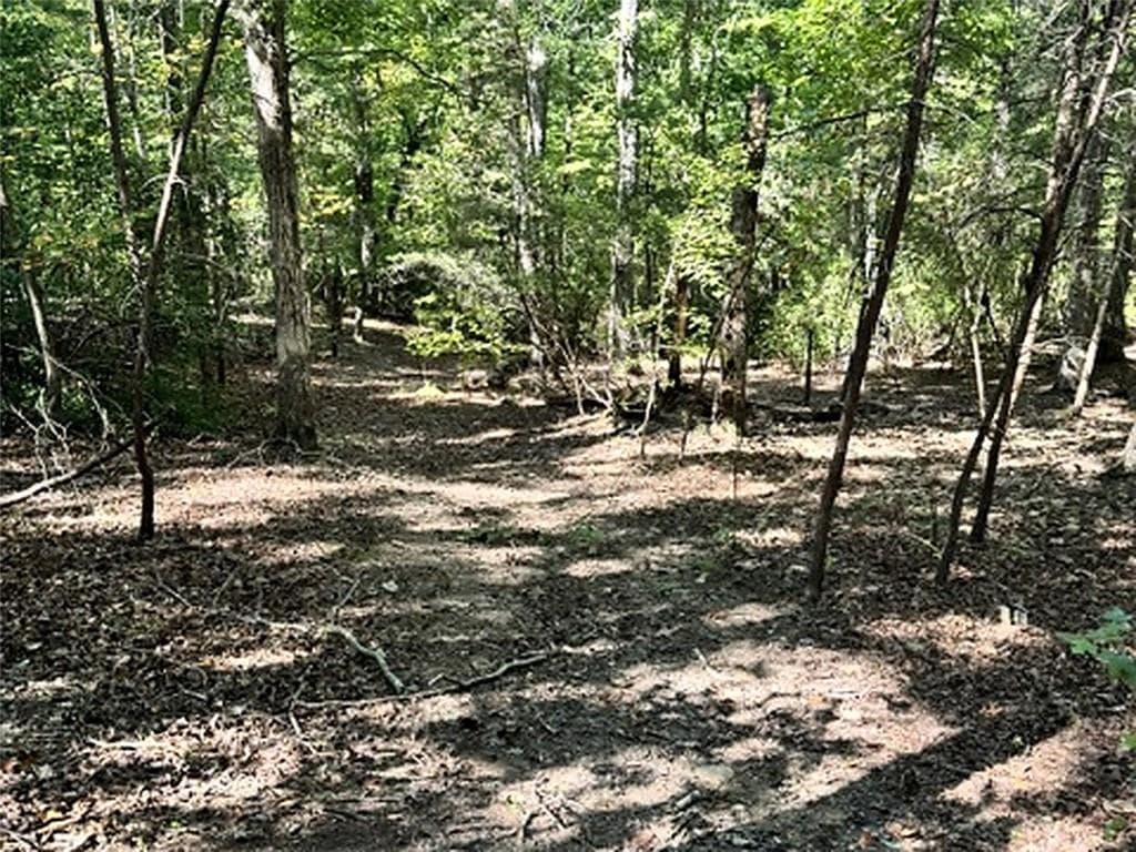 single family residence for sale at 0 Whippoorwill Way, Alto, GA 30510 — photo 5