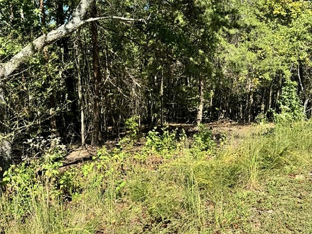 single family residence for sale at 0 Whippoorwill Way, Alto, GA 30510 — photo 7