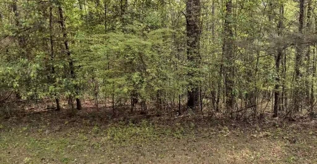 single family residence for sale at 4706 Amber Falls, Mcdonough, GA 30252 — photo 2