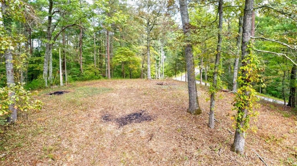 single family residence for sale at 837 Old Miller Rock Road, Ellijay, GA 30540 — photo 6
