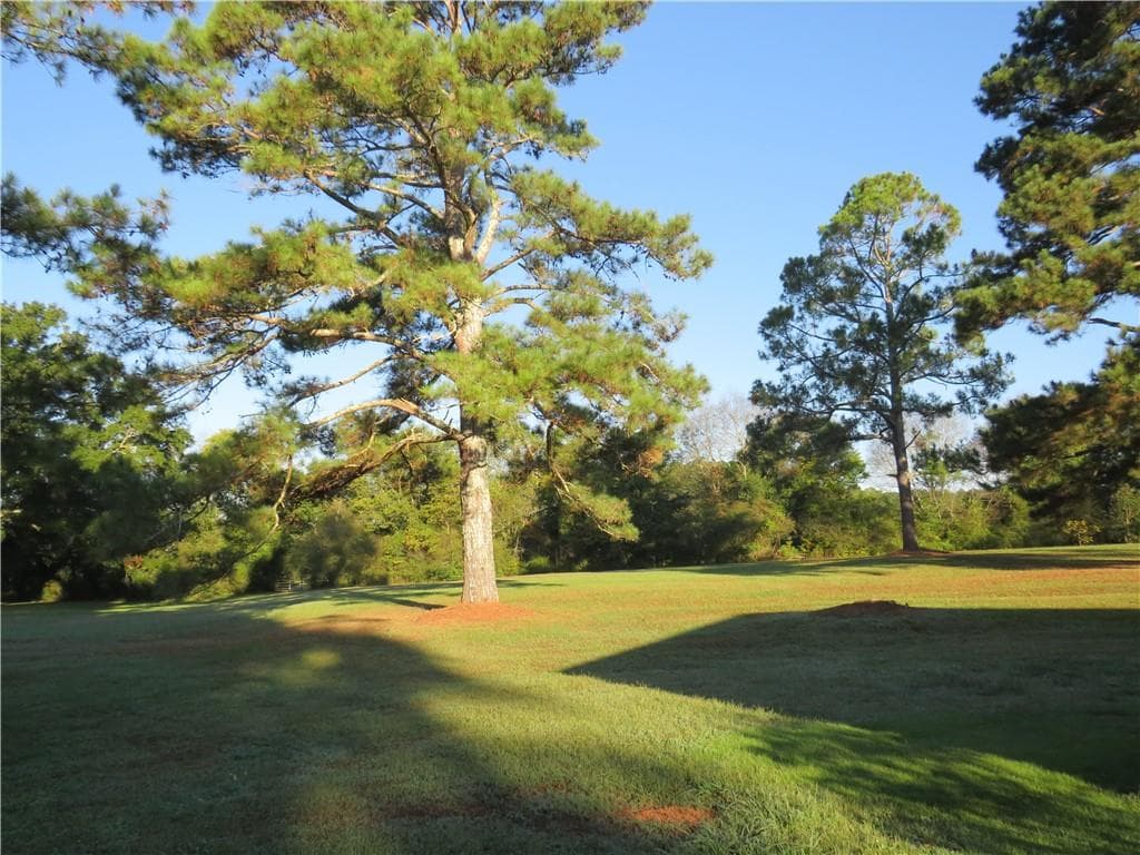 3 bedroom, 3 bathroom, 3,279 sq ft single family residence for sale at 1020 Cave Springs Road, Cedartown, GA 30125 — photo 7