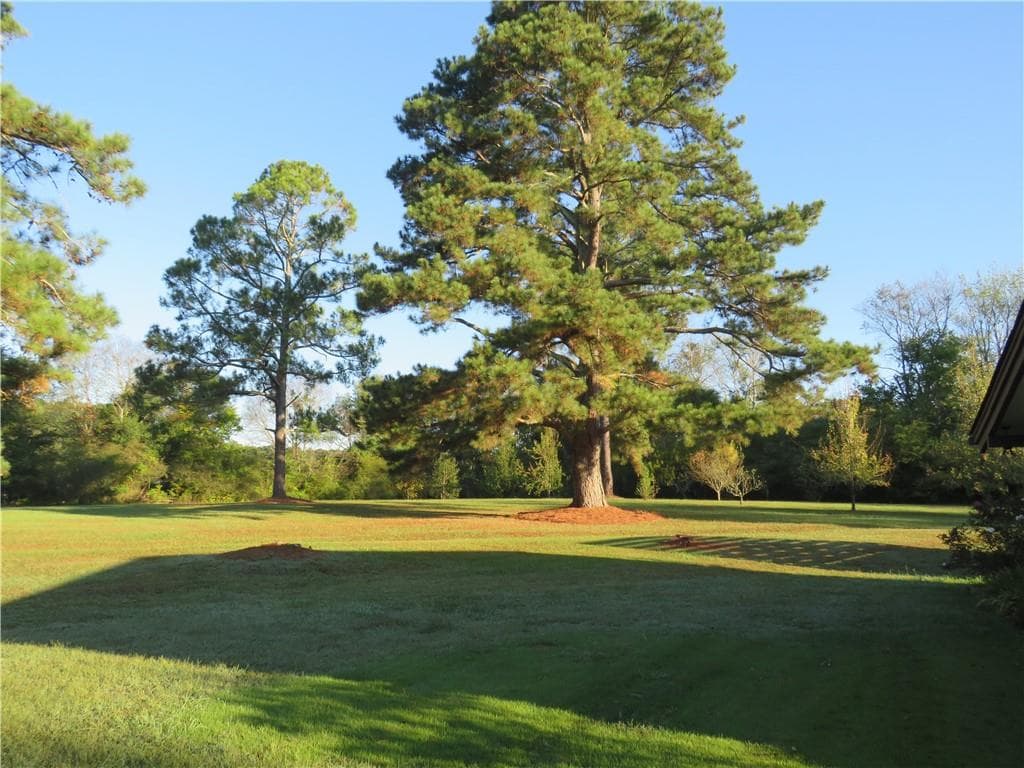 3 bedroom, 3 bathroom, 3,279 sq ft single family residence for sale at 1020 Cave Springs Road, Cedartown, GA 30125 — photo 8
