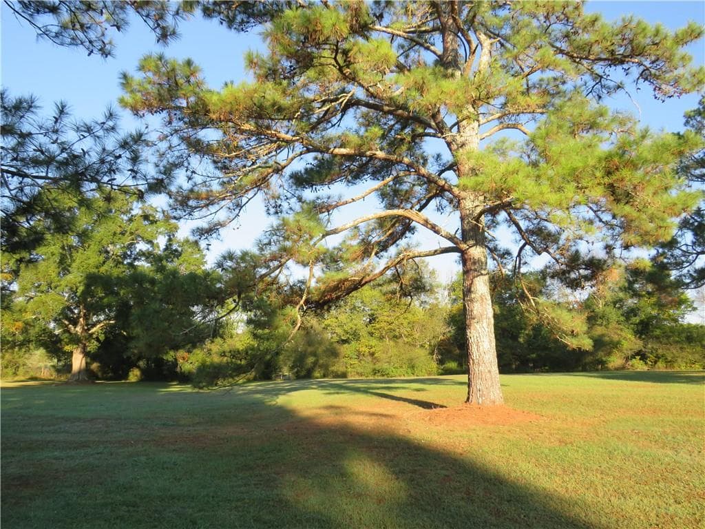 3 bedroom, 3 bathroom, 3,279 sq ft single family residence for sale at 1020 Cave Springs Road, Cedartown, GA 30125 — photo 9