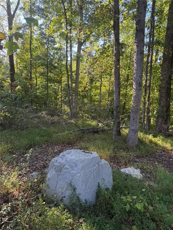 single family residence for sale at 92 Ida Pace Road, Nicholson, GA 30565 — photo 9