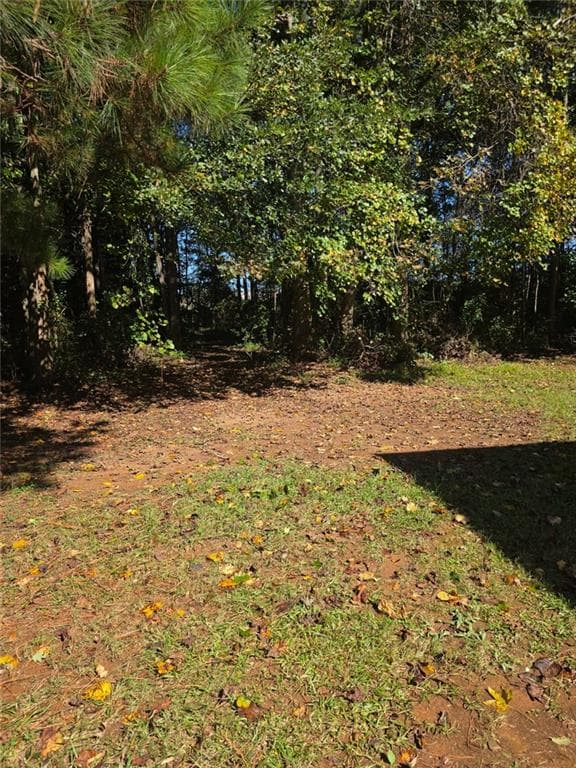 5 bedroom, 2 bathroom, 3,577 sq ft single family residence for rent at 536 Windy Mill Way, Temple, GA 30179 for $2,300 a month — photo 10