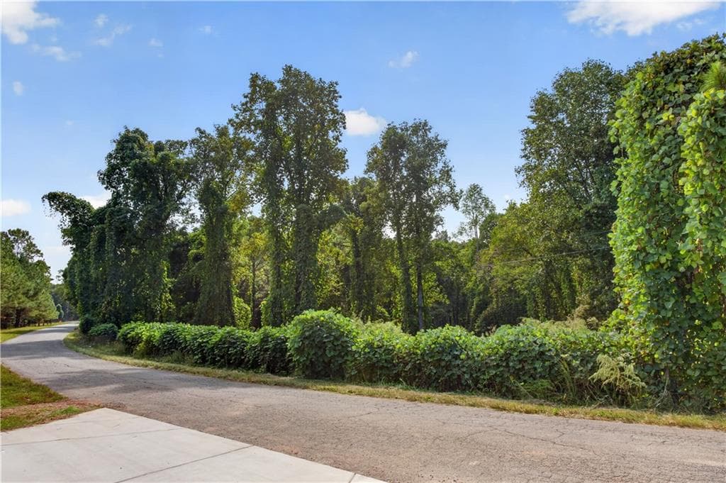 unimproved land for sale at 0 Weatherby Lane, Ball Ground, GA 30107 — photo 2