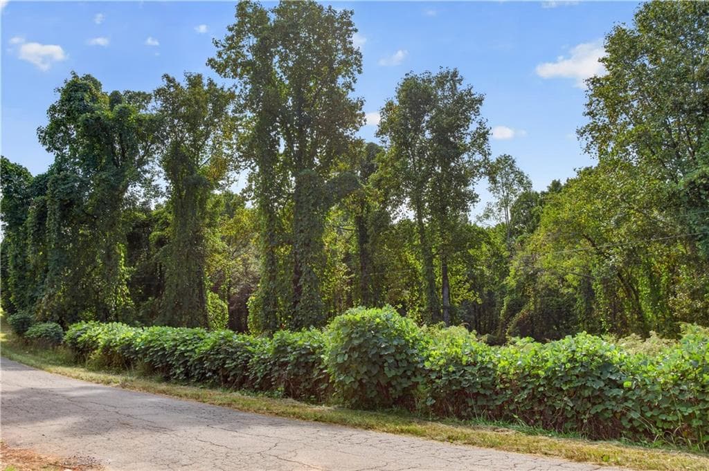 unimproved land for sale at 0 Weatherby Lane, Ball Ground, GA 30107 — photo 3