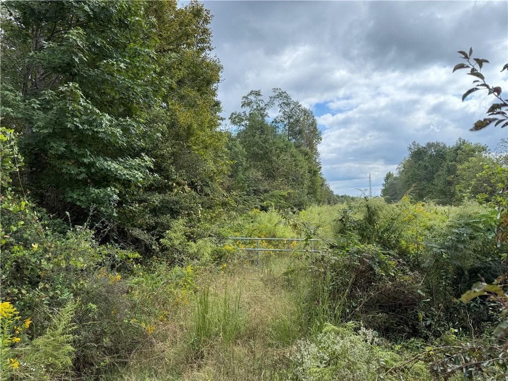 unimproved land for sale at 0 Magnolia Avenue, Bowdon, GA 30108 — photo 1 of 2