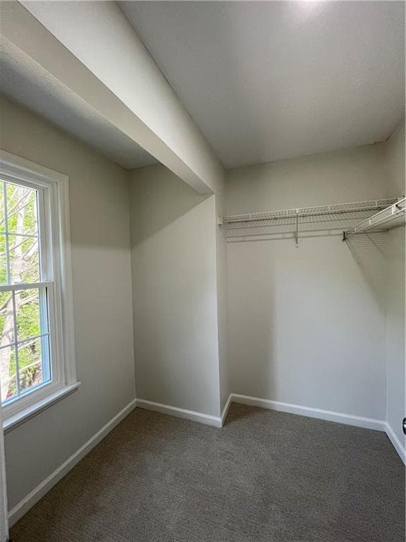 3 bedroom, 3 bathroom, 1,776 sq ft single family residence for rent at 11010 Spotted Pony Trail, Johns Creek, GA 30022 for $2,495 a month — photo 8