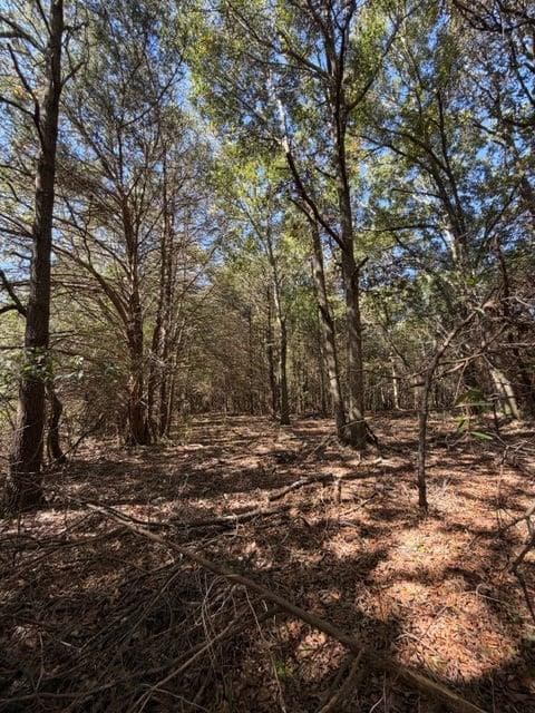 unimproved land for sale at 0 Whispering Creek Trail, Hartwell, GA 30643 — photo 7