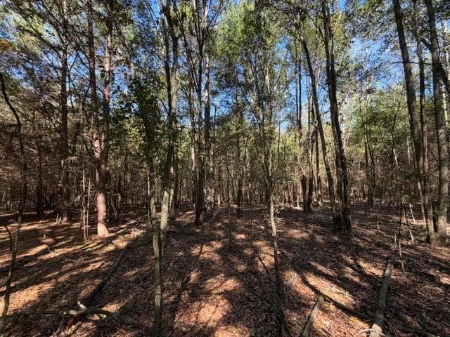unimproved land for sale at 0 Whispering Creek Trail, Hartwell, GA 30643 — photo 8