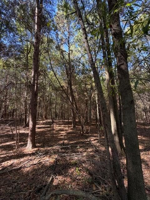 unimproved land for sale at 0 Whispering Creek Trail, Hartwell, GA 30643 — photo 9
