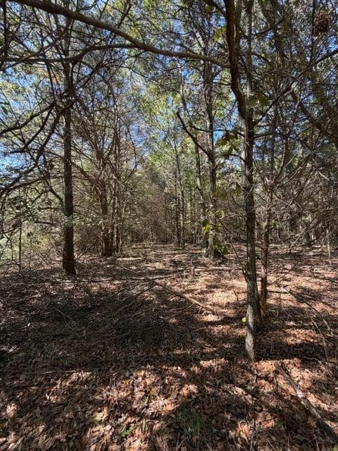unimproved land for sale at 0 Whispering Creek Trail, Hartwell, GA 30643 — photo 10