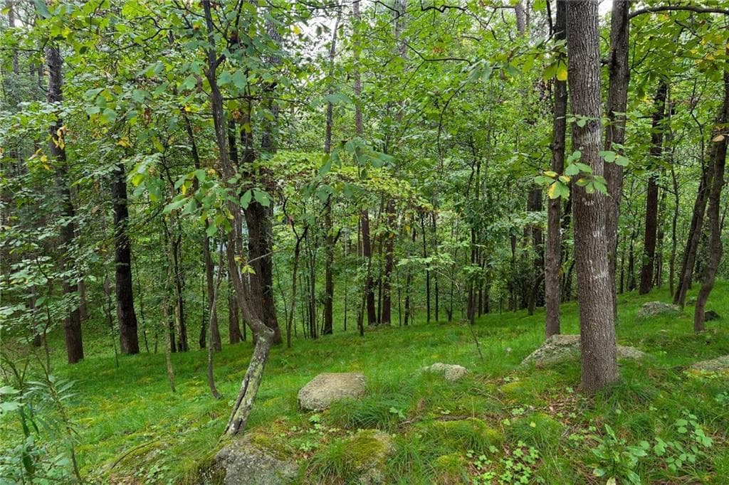 unimproved land for sale at 360 Spyglass Bluff Drive, Johns Creek, GA 30022 — photo 3