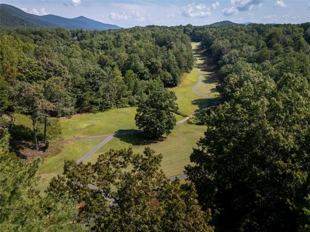 3 bedroom, 3 bathroom, 2,688 sq ft single family residence for sale at 1280 Bahn Innsbruck, Helen, GA 30545 — photo 6