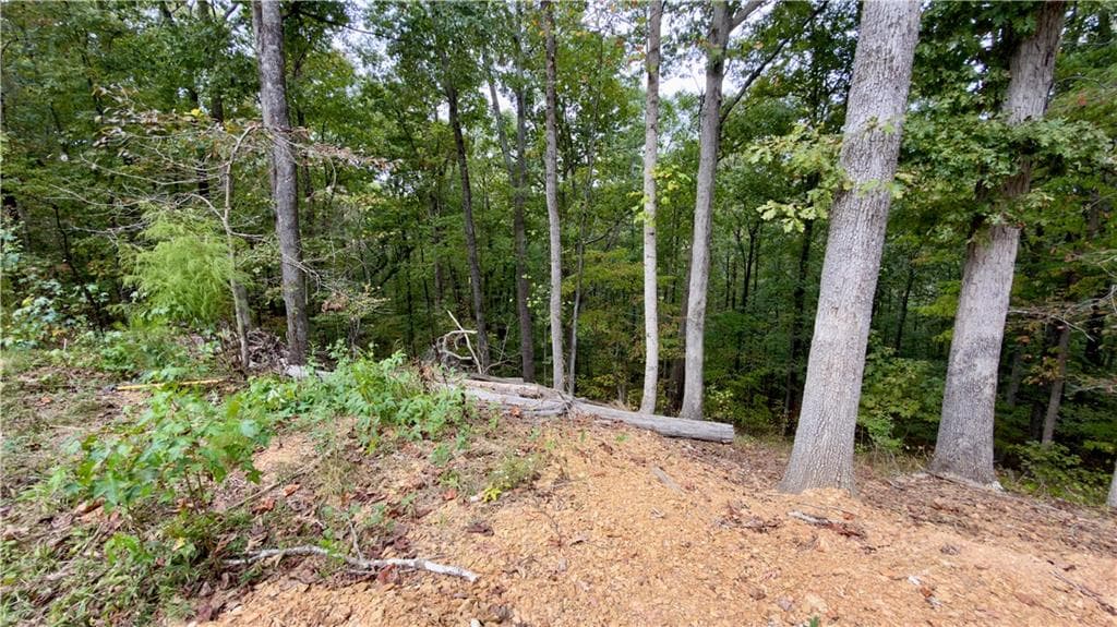 single family residence for sale at 283 Moores Ferry Road, Plainville, GA 30733 — photo 3