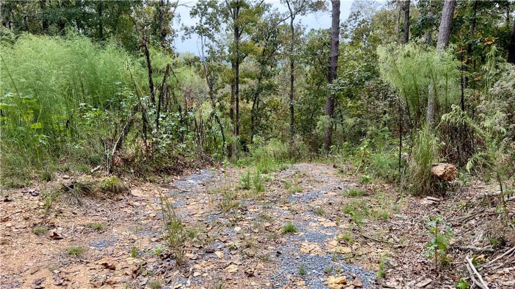 single family residence for sale at 283 Moores Ferry Road, Plainville, GA 30733 — photo 5