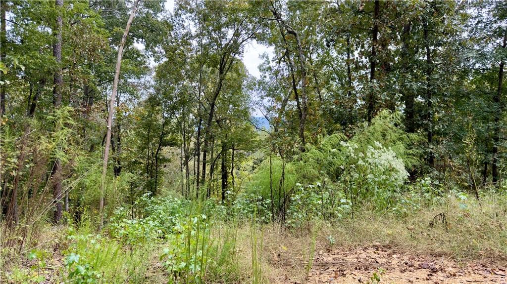 single family residence for sale at 283 Moores Ferry Road, Plainville, GA 30733 — photo 8