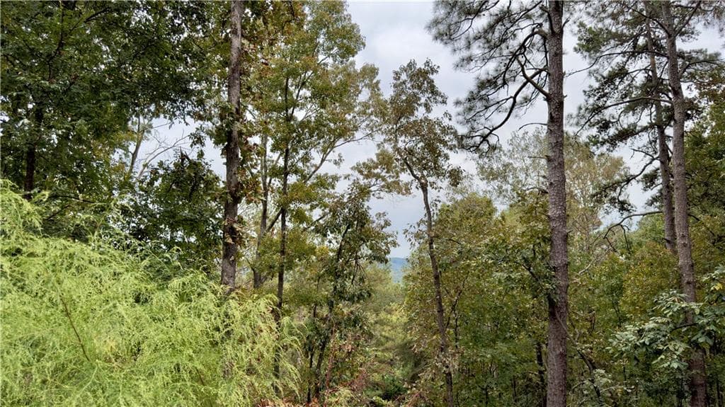 single family residence for sale at 283 Moores Ferry Road, Plainville, GA 30733 — photo 10
