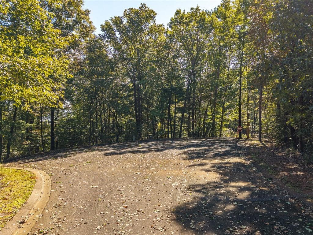 single family residence for sale at Lot 22 Abbott Mill, Ellijay, GA 30540 — photo 4