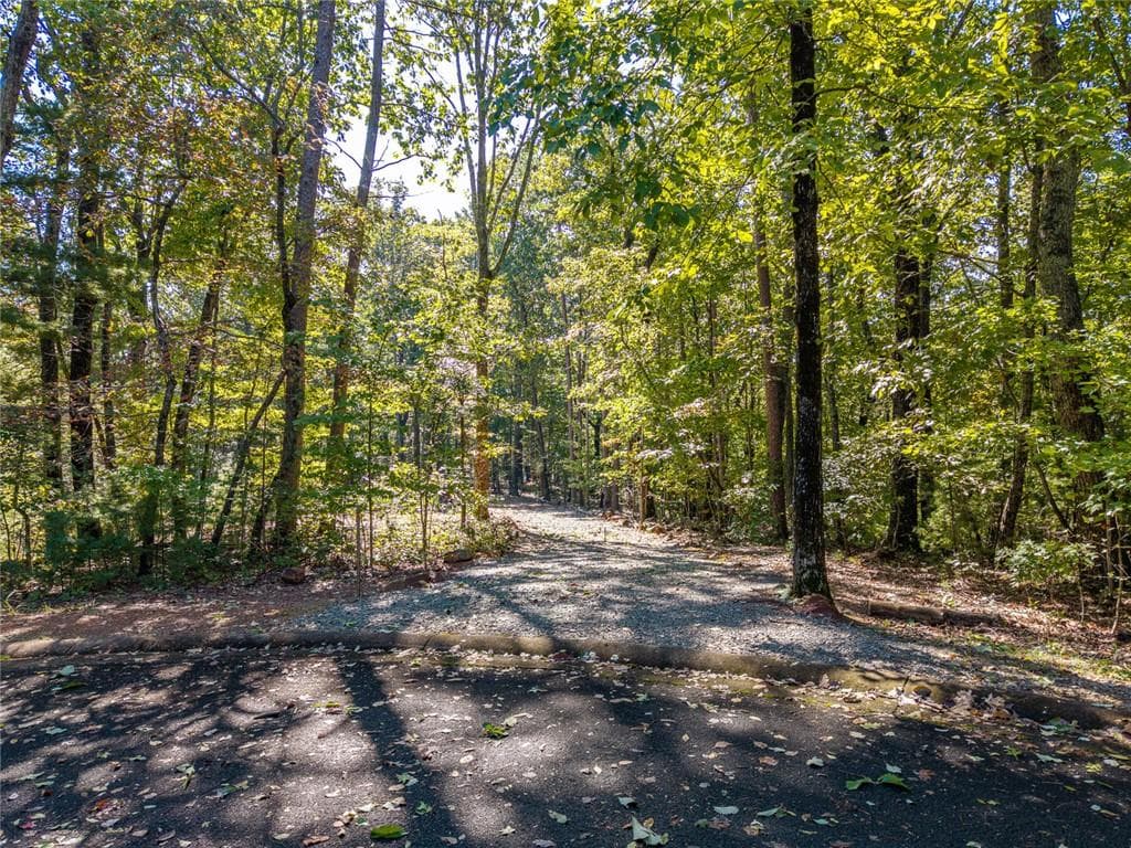 single family residence for sale at Lot 22 Abbott Mill, Ellijay, GA 30540 — photo 5