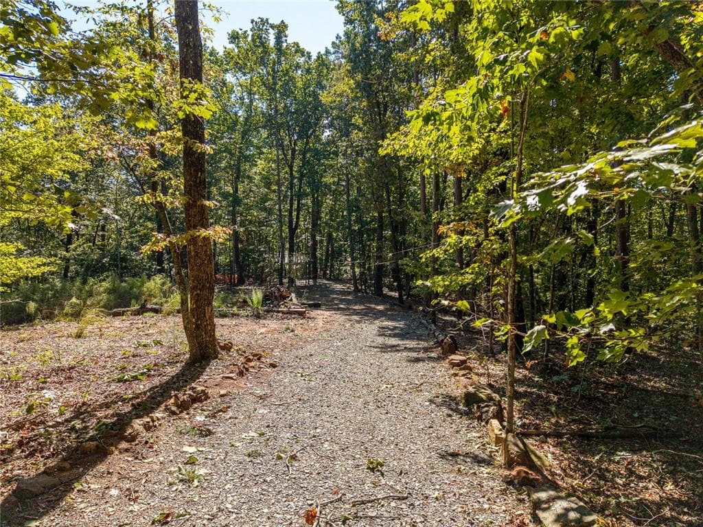 single family residence for sale at Lot 22 Abbott Mill, Ellijay, GA 30540 — photo 7