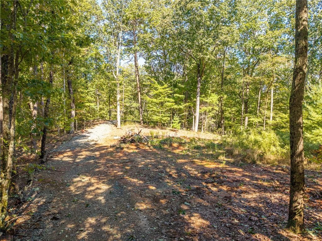 single family residence for sale at Lot 22 Abbott Mill, Ellijay, GA 30540 — photo 9