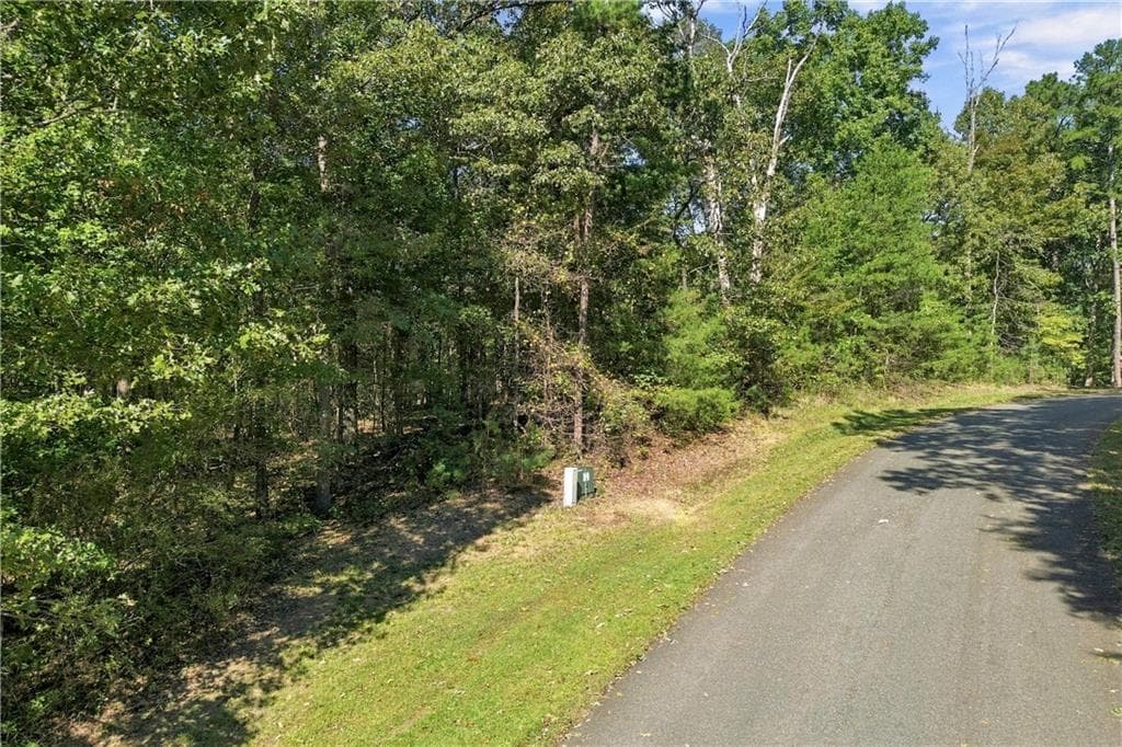 other for sale at 0 Town Creek Road, Talking Rock, GA 30175 — photo 4