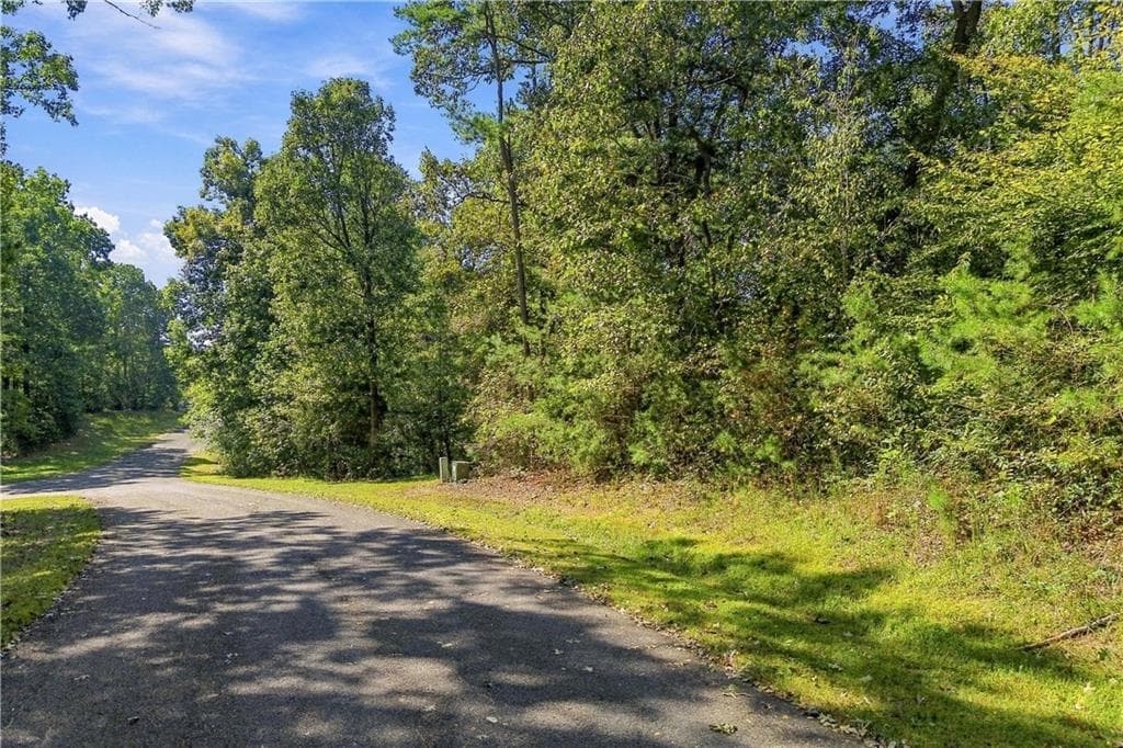 other for sale at 0 Town Creek Road, Talking Rock, GA 30175 — photo 3