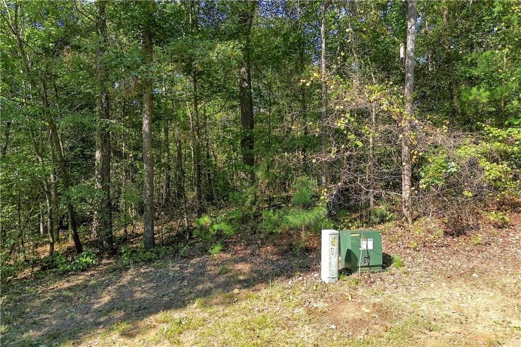 other for sale at 0 Town Creek Road, Talking Rock, GA 30175 — photo 5