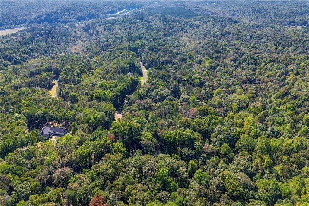 other for sale at 0 Town Creek Road, Talking Rock, GA 30175 — photo 8