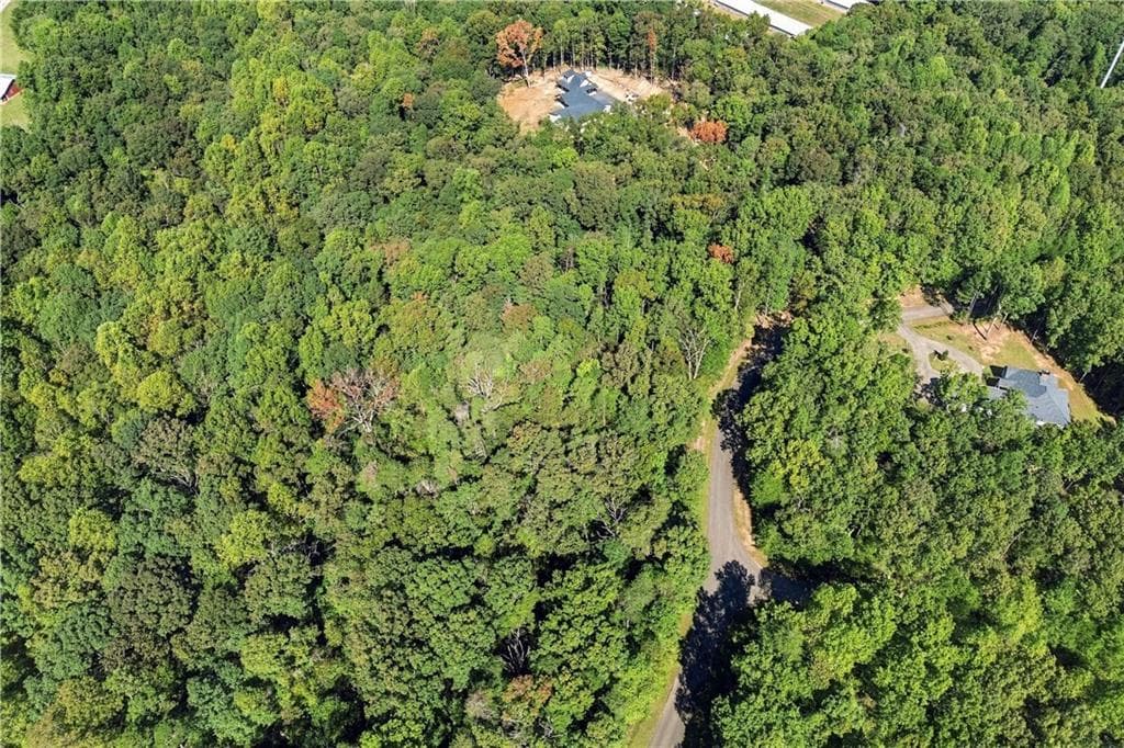 other for sale at 0 Town Creek Road, Talking Rock, GA 30175 — photo 9