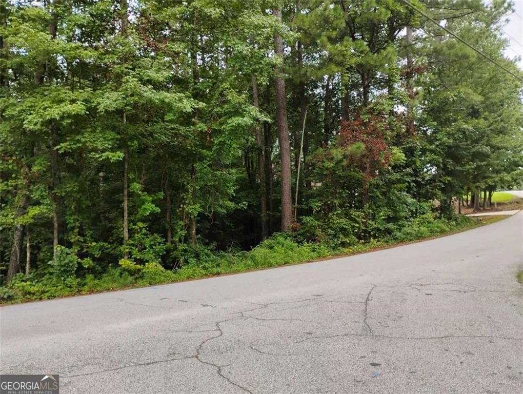 single family residence for sale at 1157 Magnolia Drive, Villa Rica, GA 30180 — photo 4