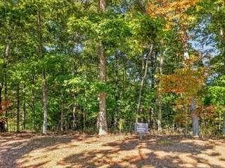 single family residence for sale at Lt 144 Hickory Way, Mineral Bluff, GA 30559 — photo 5