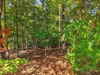 single family residence for sale at Lt 144 Hickory Way, Mineral Bluff, GA 30559 — photo 6